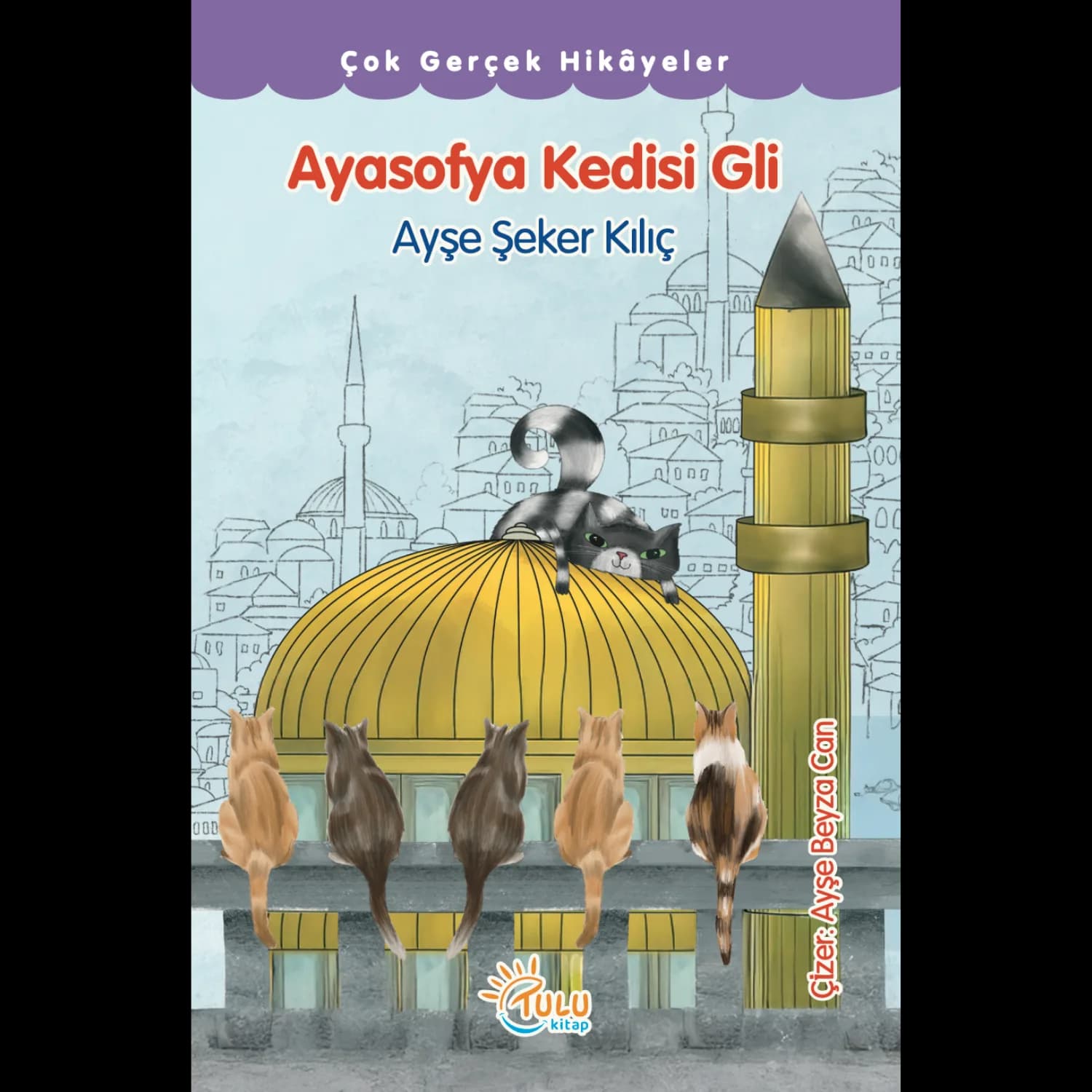 ayasofya-kedisi-gli