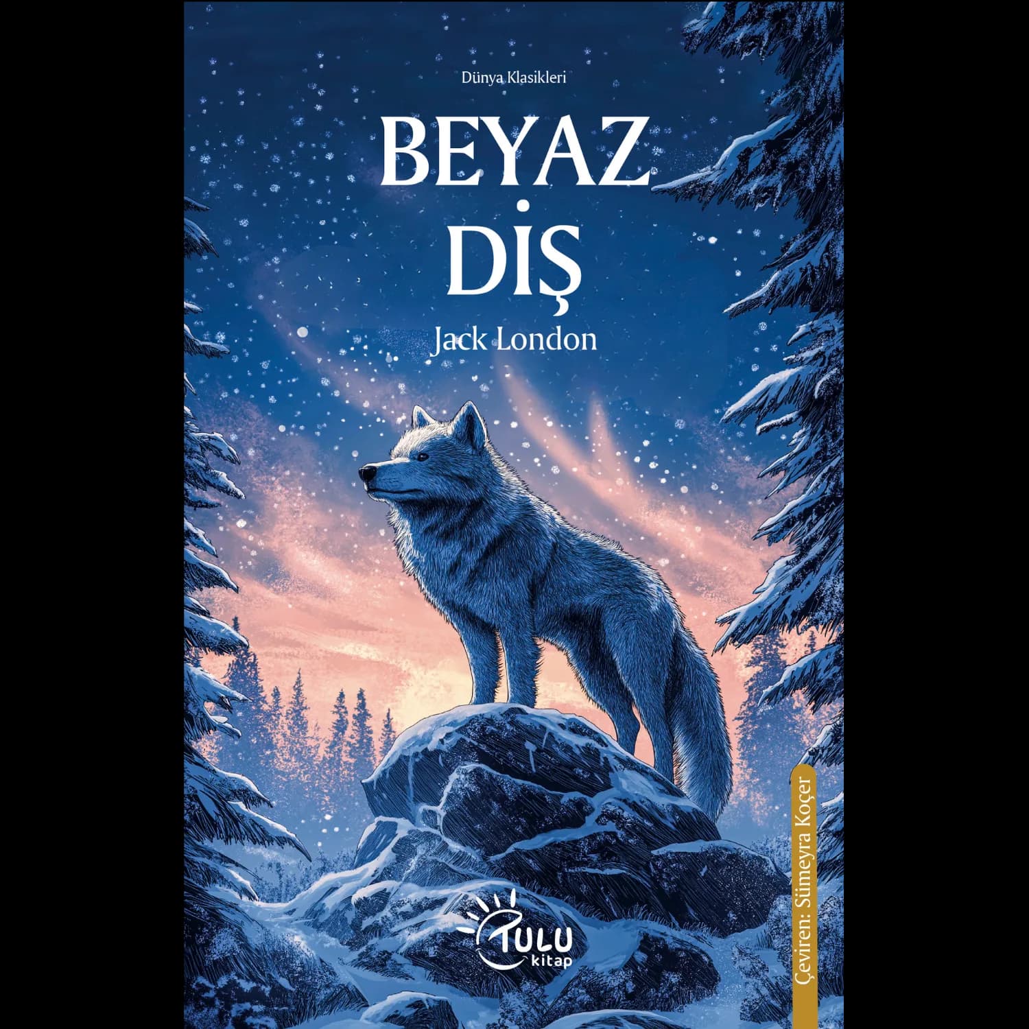 Beyaz Diş