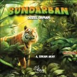 sundarban
