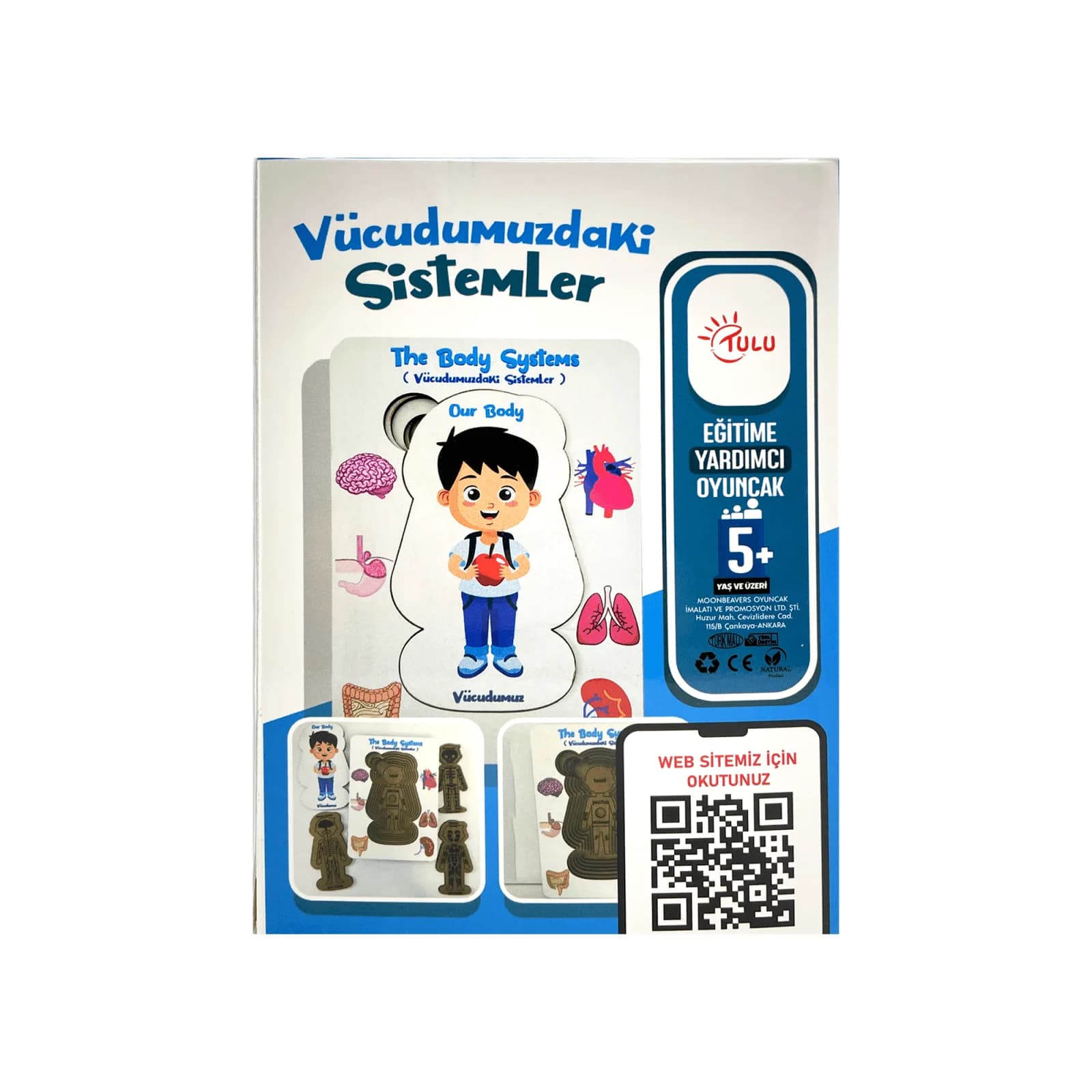 vücuderkek1